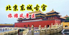 被大鸡巴操逼太爽了啊啊啊视频啊啊啊中国北京-东城古宫旅游风景区